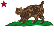 TCB jeans